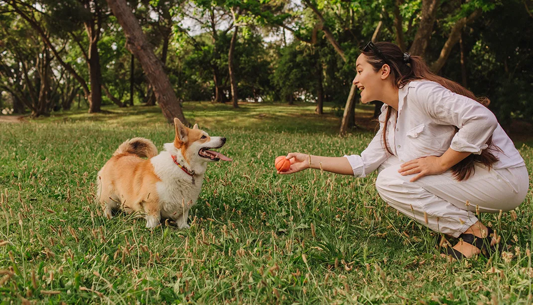 young women offering a ball to a small dog